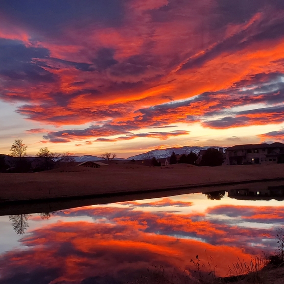 Meet your Posher, Melonie - Picture 5 of 16